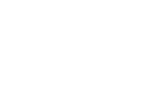 Logo Boostman